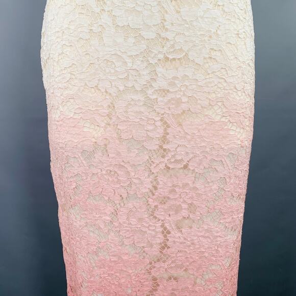 BURBERRY PRORSUM Size 4 Pink White Floral Pencil Guipure Lace Ombré Skirt - Picture 2 of 5